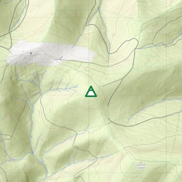 Cebula
