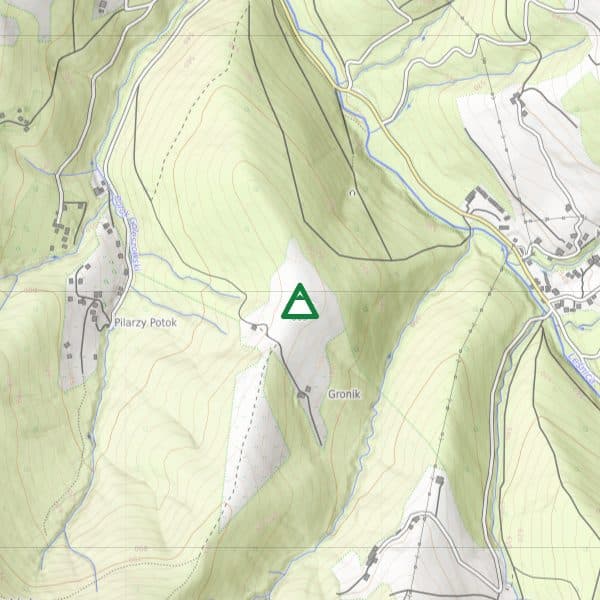 Gronik