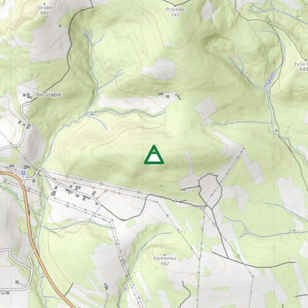 Gronik