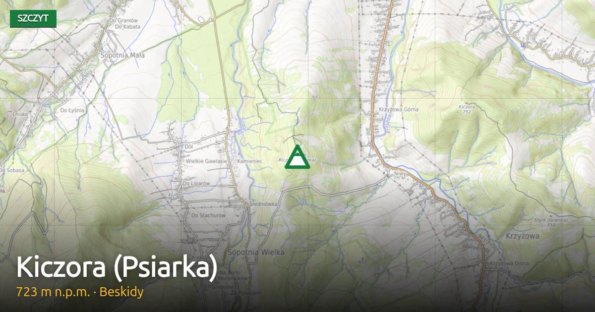 Kiczora (Psiarka)