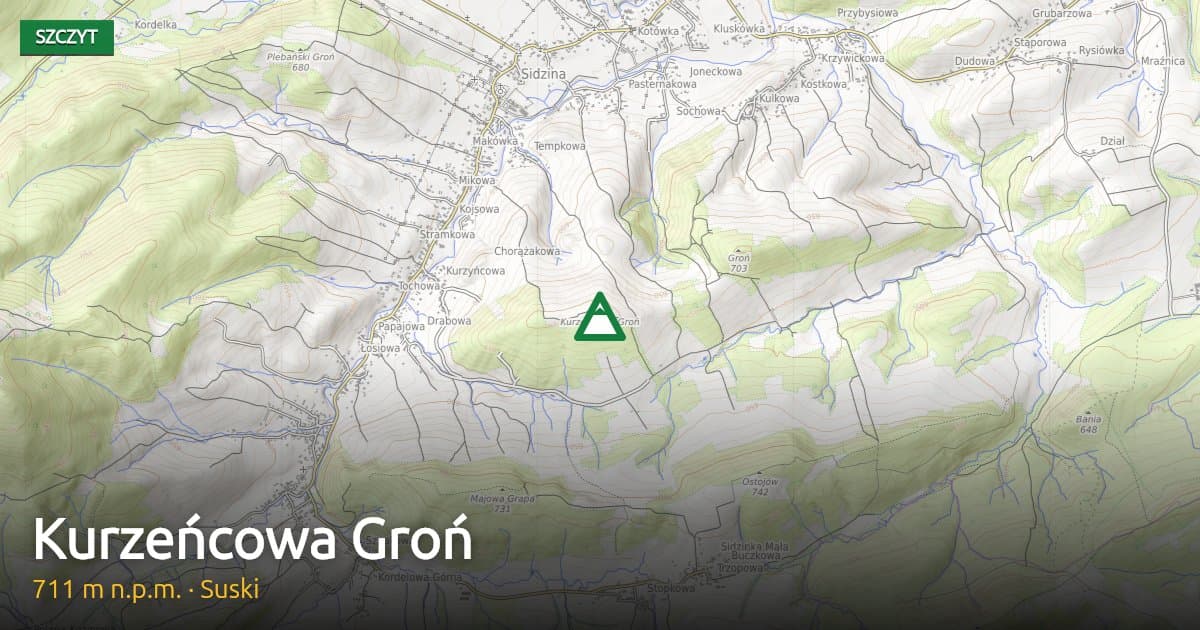 Kurzeńcowa Groń