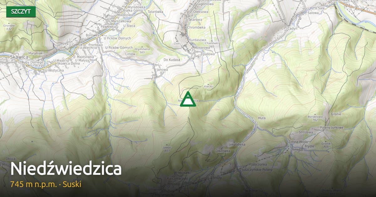 Niedźwiedzica