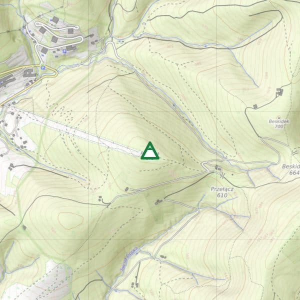 Palenica