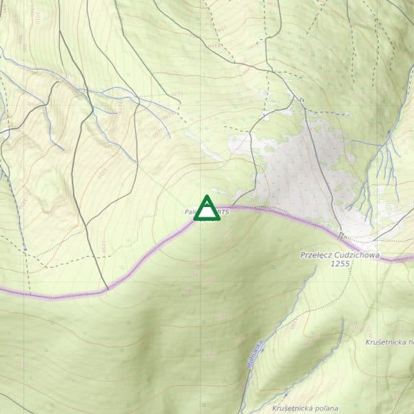 Palenica