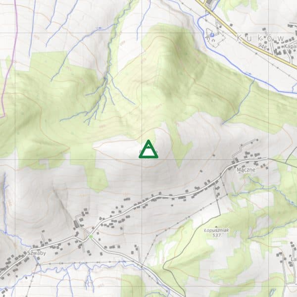 Palenica