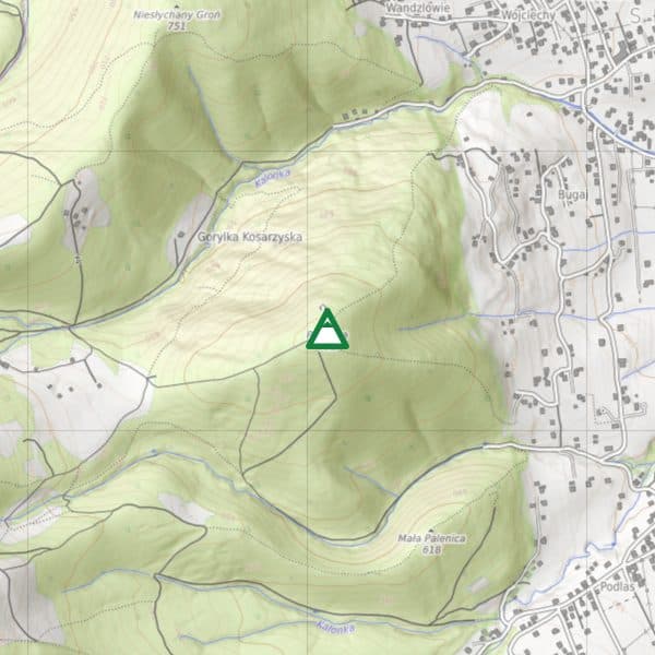 Palenica