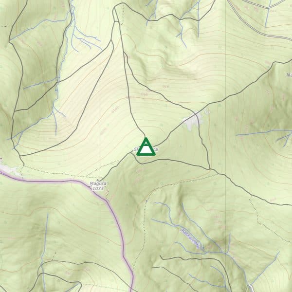 Skrzadnica