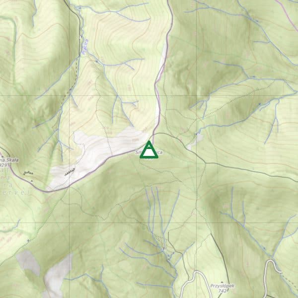 Smerkowica