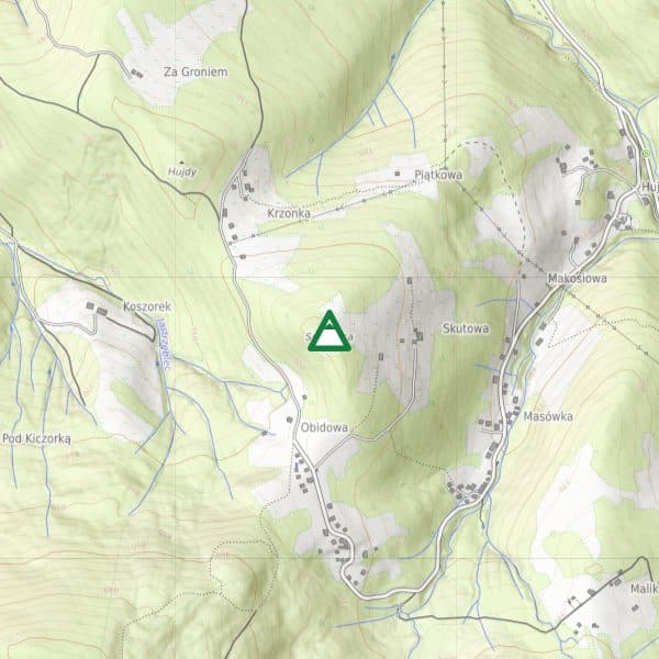 Spalenica