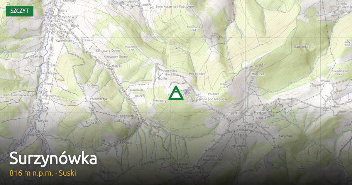 Surzynówka