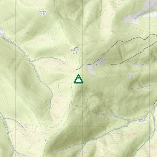 Żar