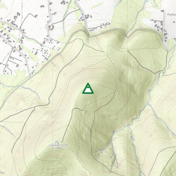 Żar