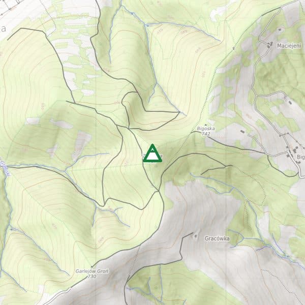 Zwaliska