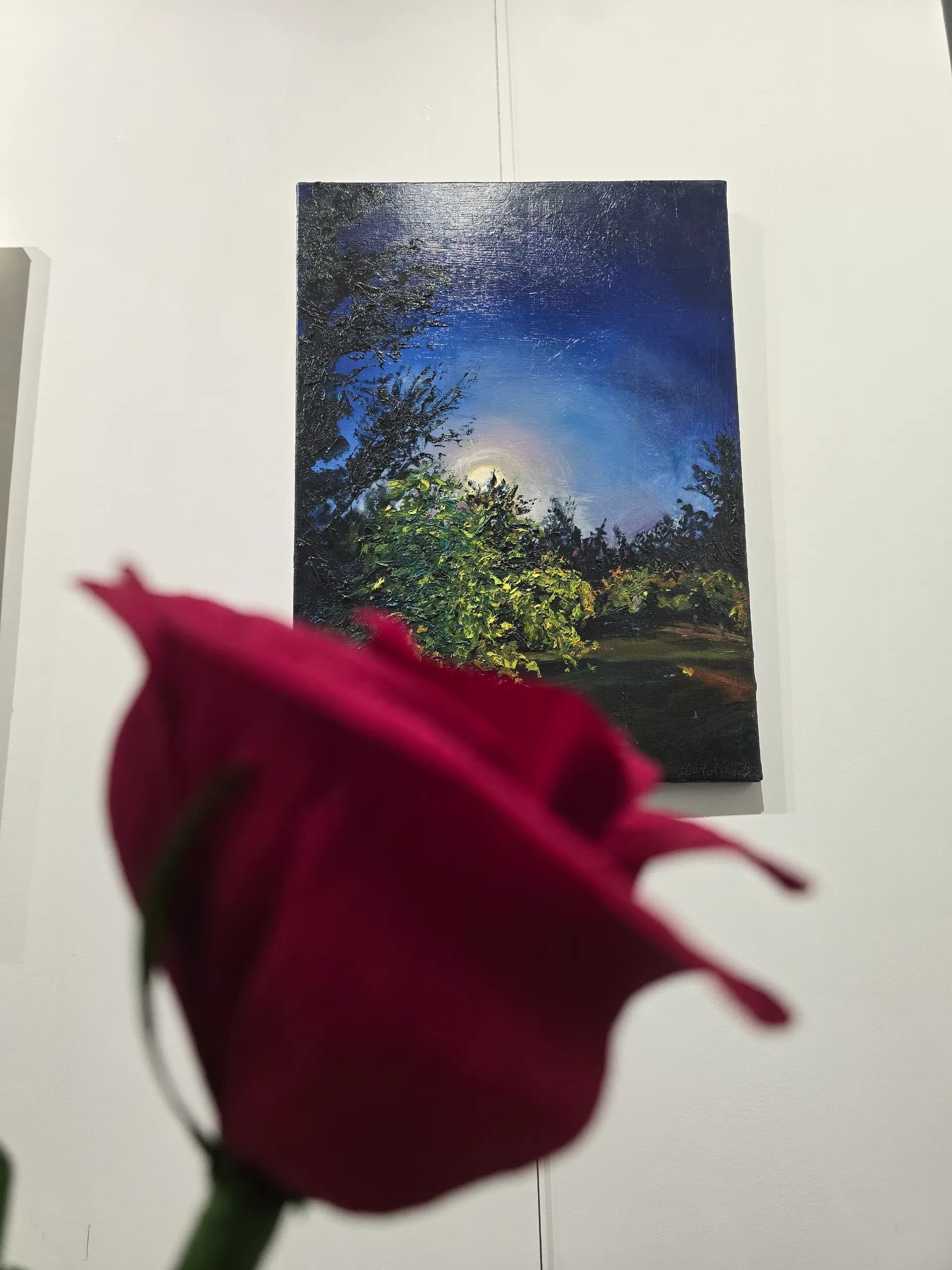 Zdjęcie od uczestnika