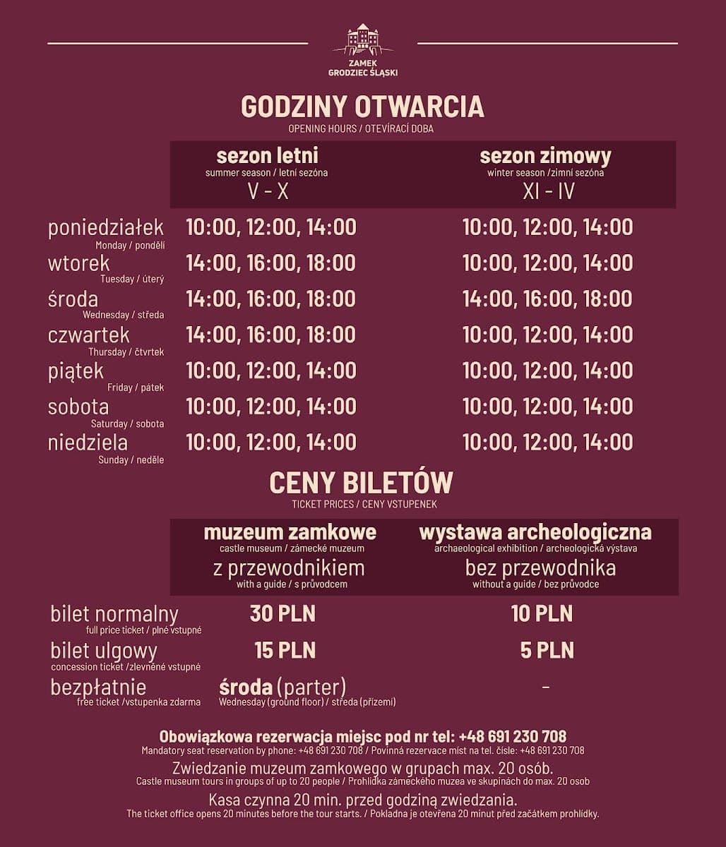 Zamek w Grodźcu Śląskim