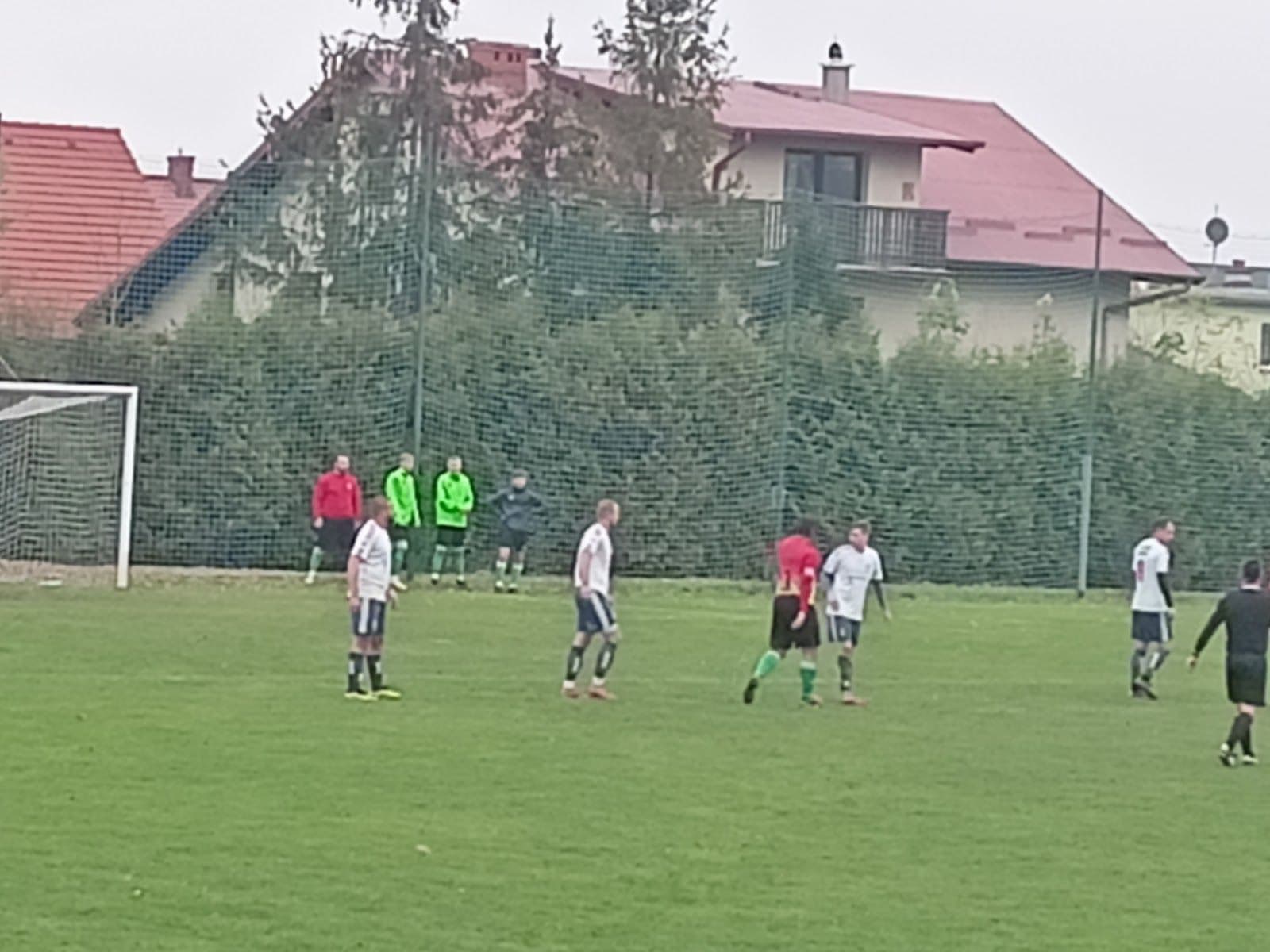 Drzewiarz Jasienica