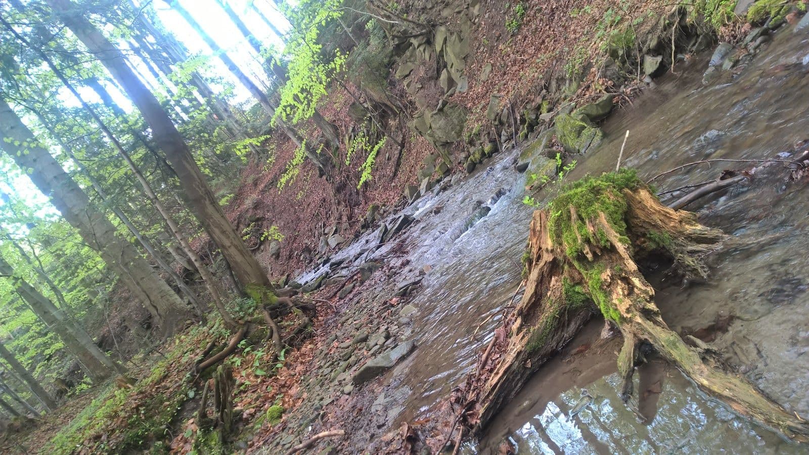 Polana Szeptów
