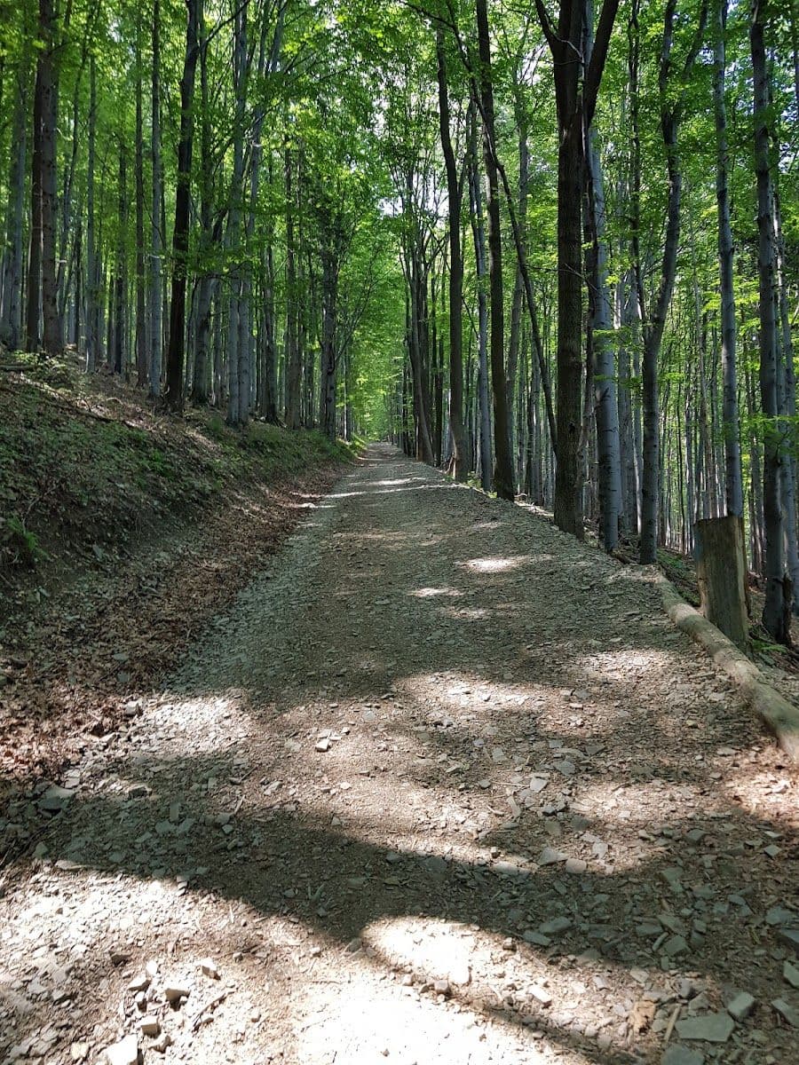 Rezerwat przyrody Czantoria