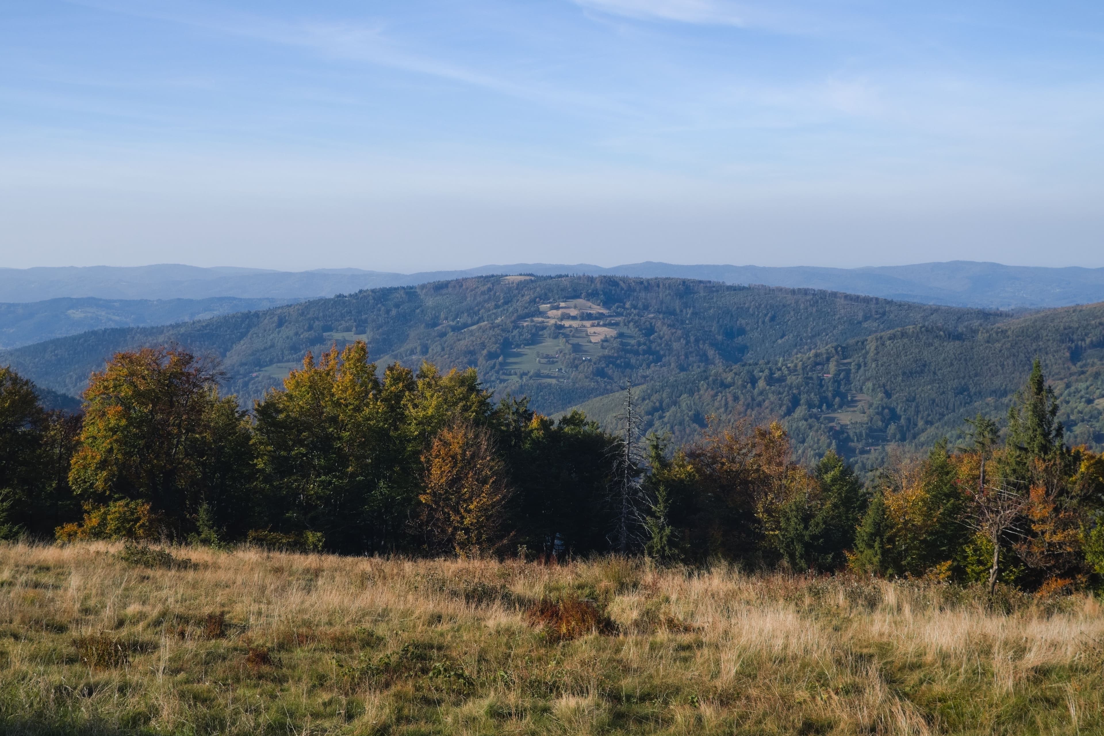 Mędralowa