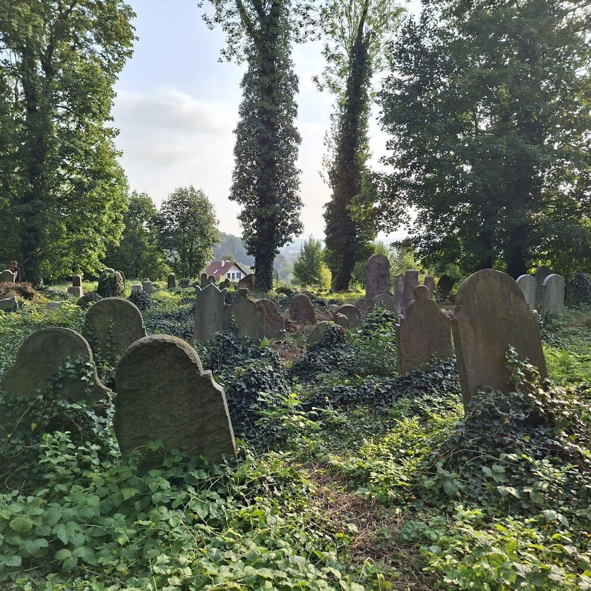 Stary Cmentarz Żydowski