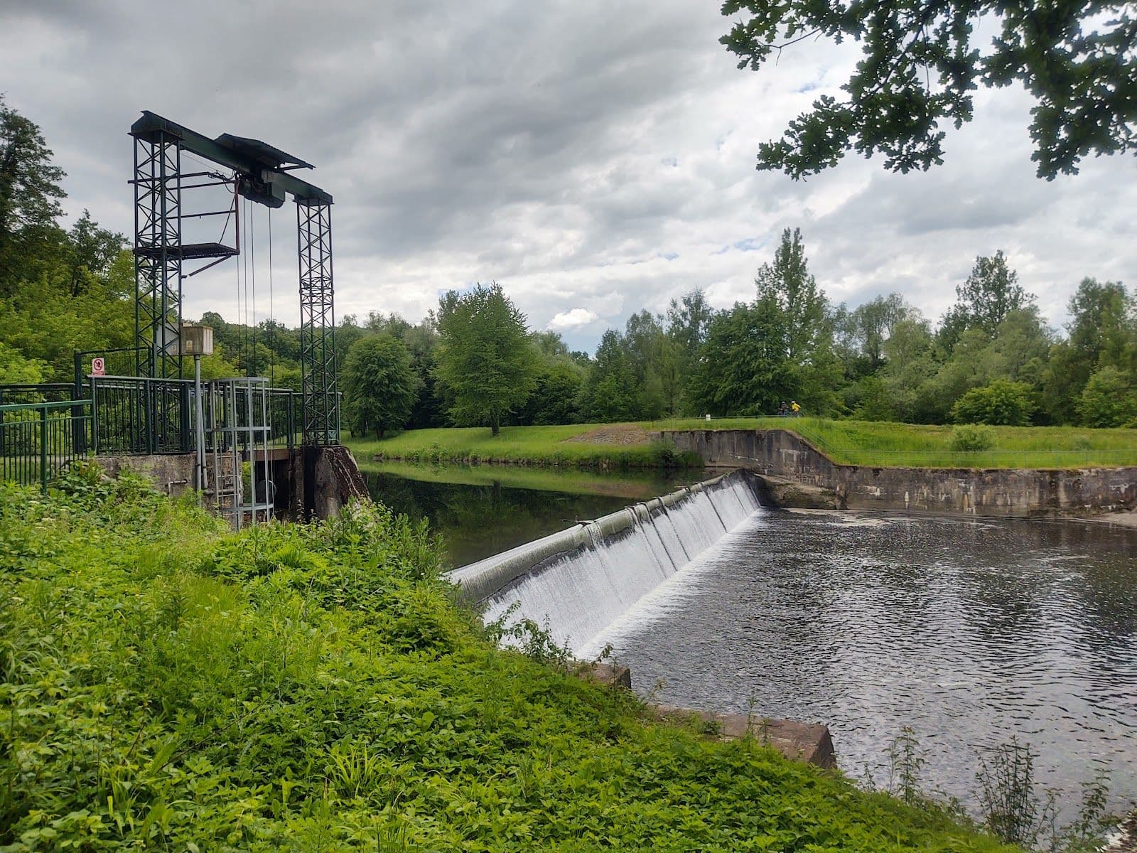 Rezerwat przyrody Lasek Miejski nad Olzą