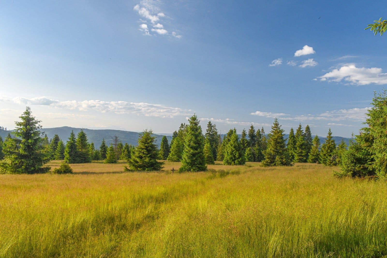 Polana Sucha Góra