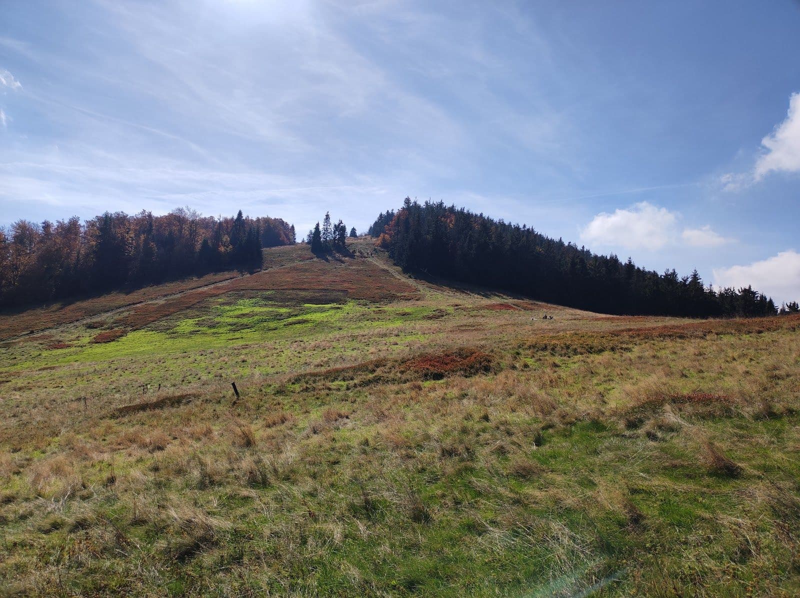 Wielka Rycerzowa