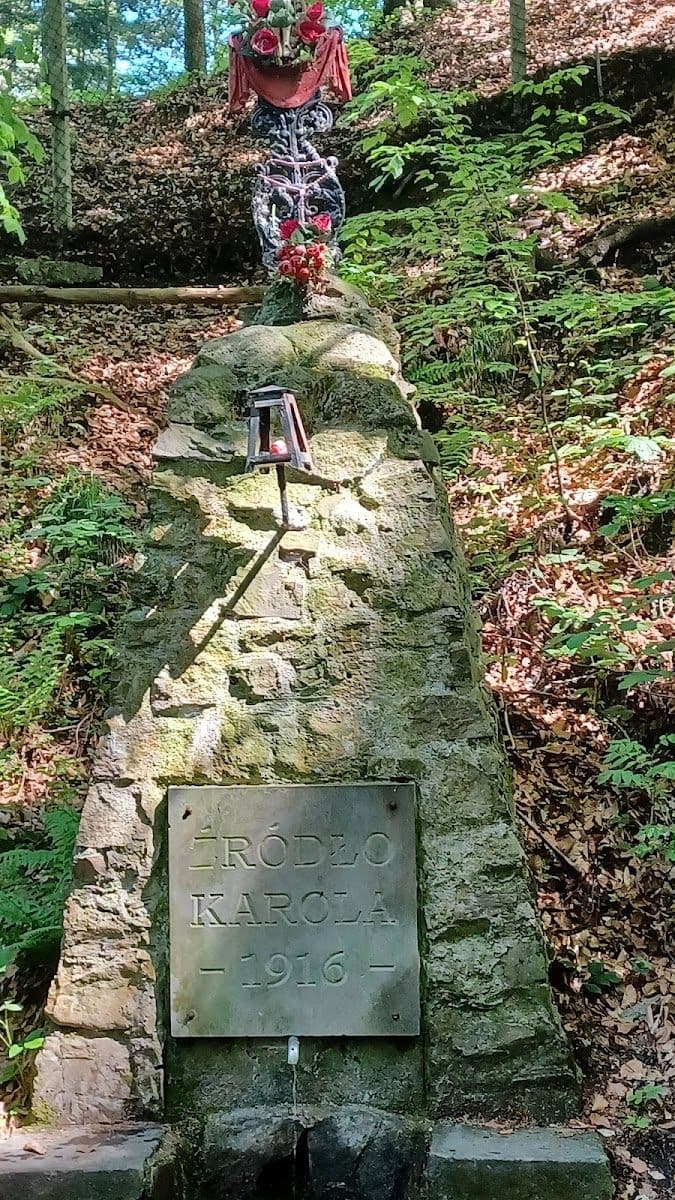 Źródło Karola 460 m n.p.m.