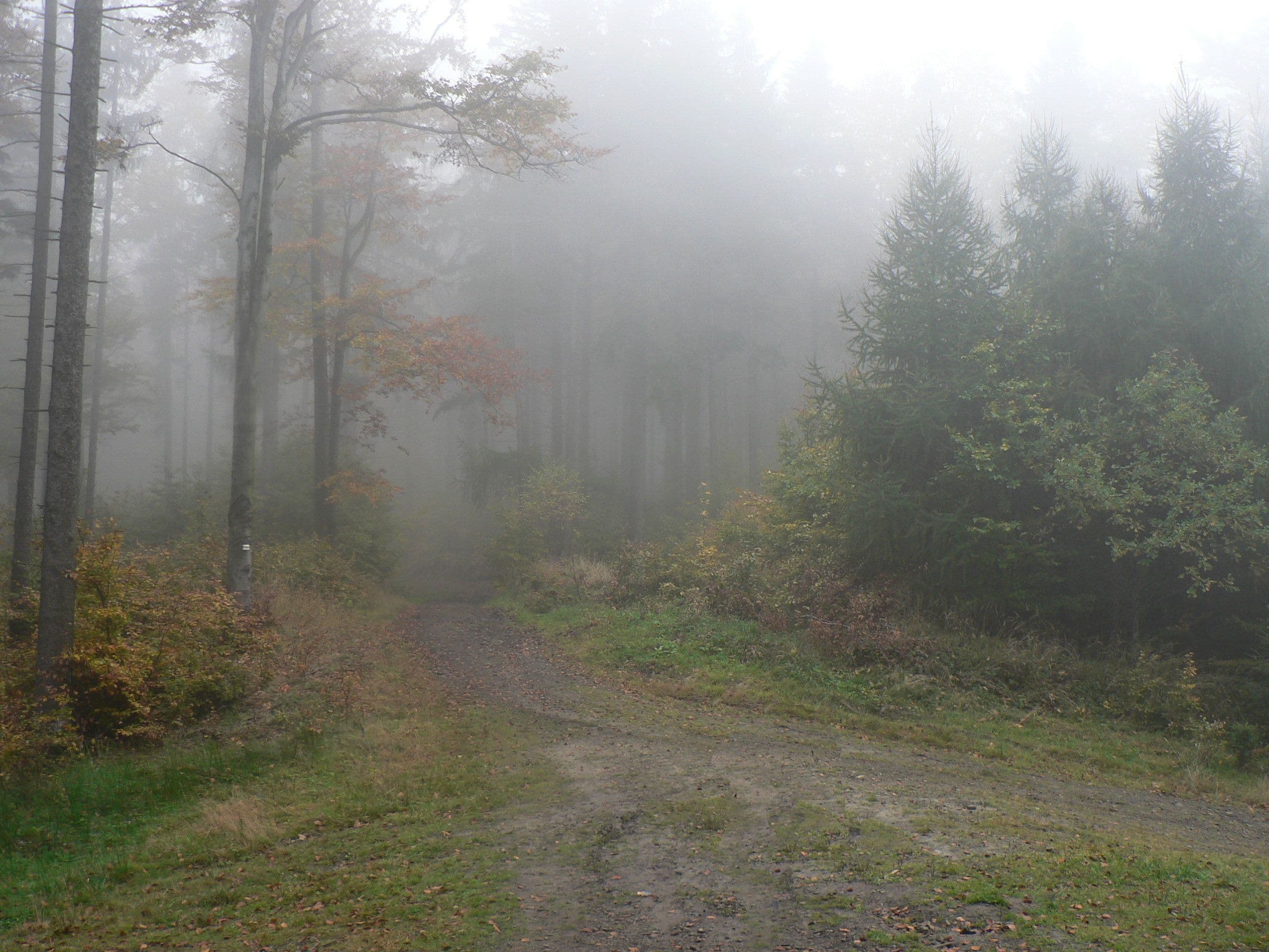 Kołowrót