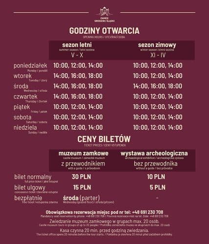 Zamek w Grodźcu Śląskim