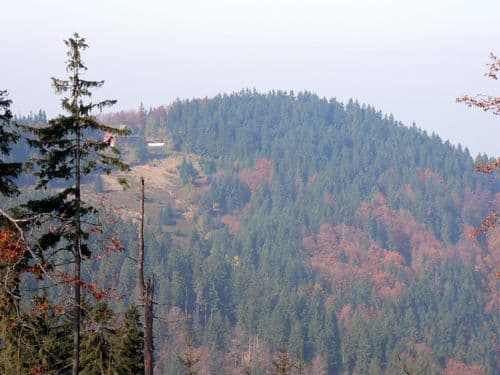 Kiczory / Kyčera