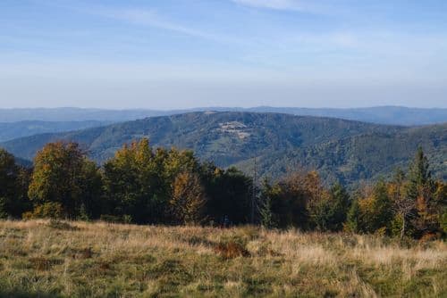 Mędralowa