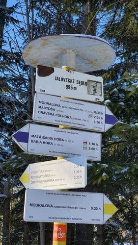 Przełęcz Jałowiecka skrzyżowanie szlaków