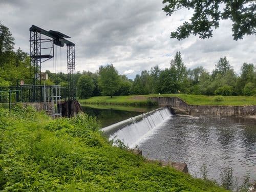 Rezerwat przyrody Lasek Miejski nad Olzą