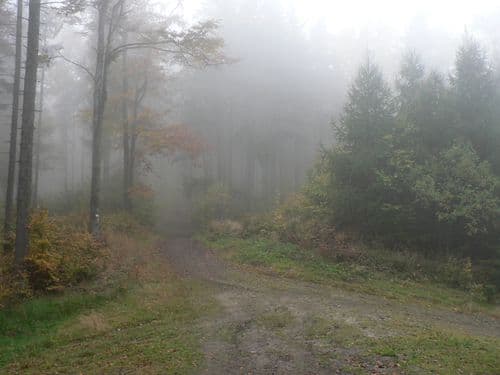 Kołowrót