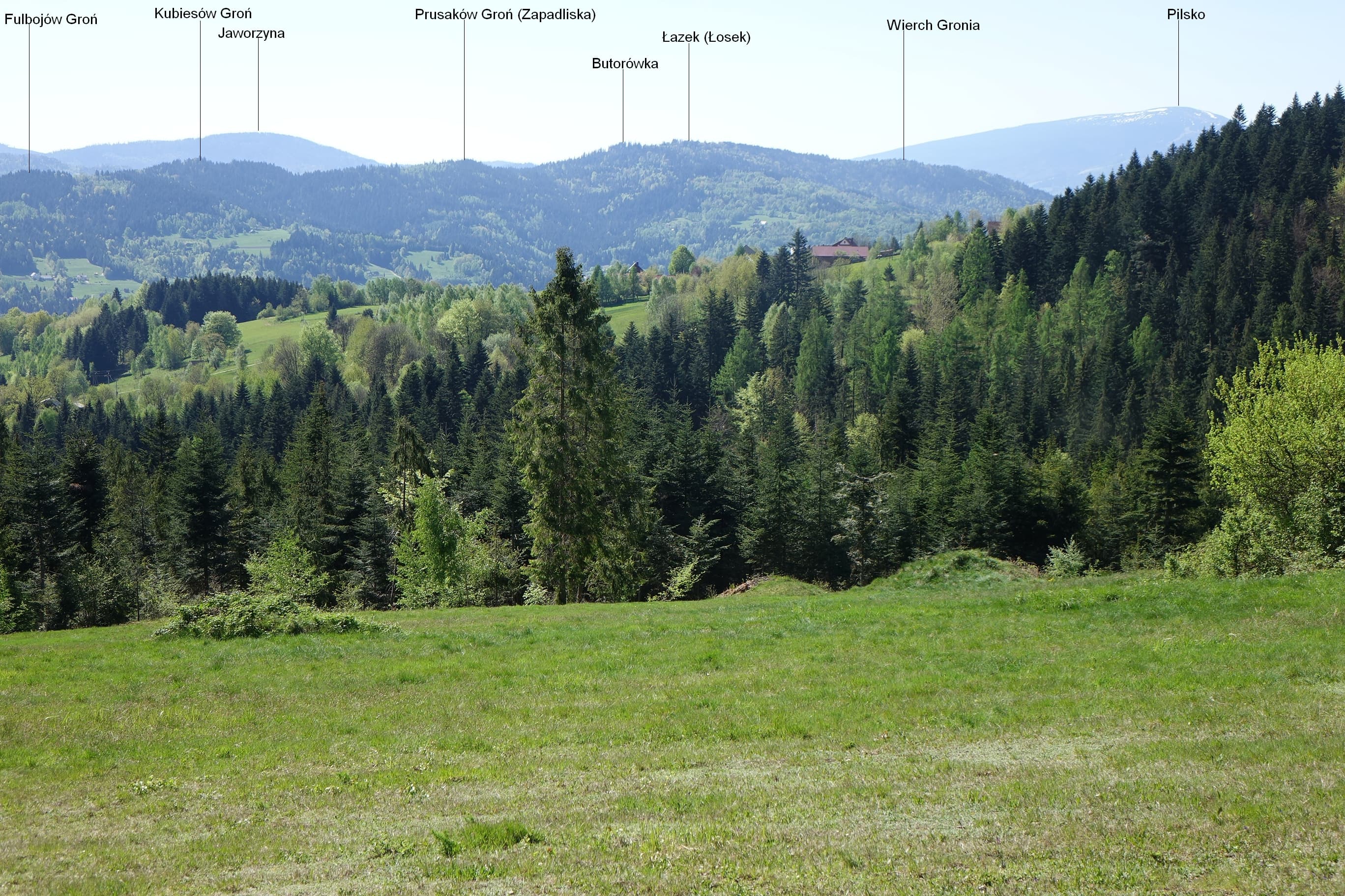 Kubiesów Groń