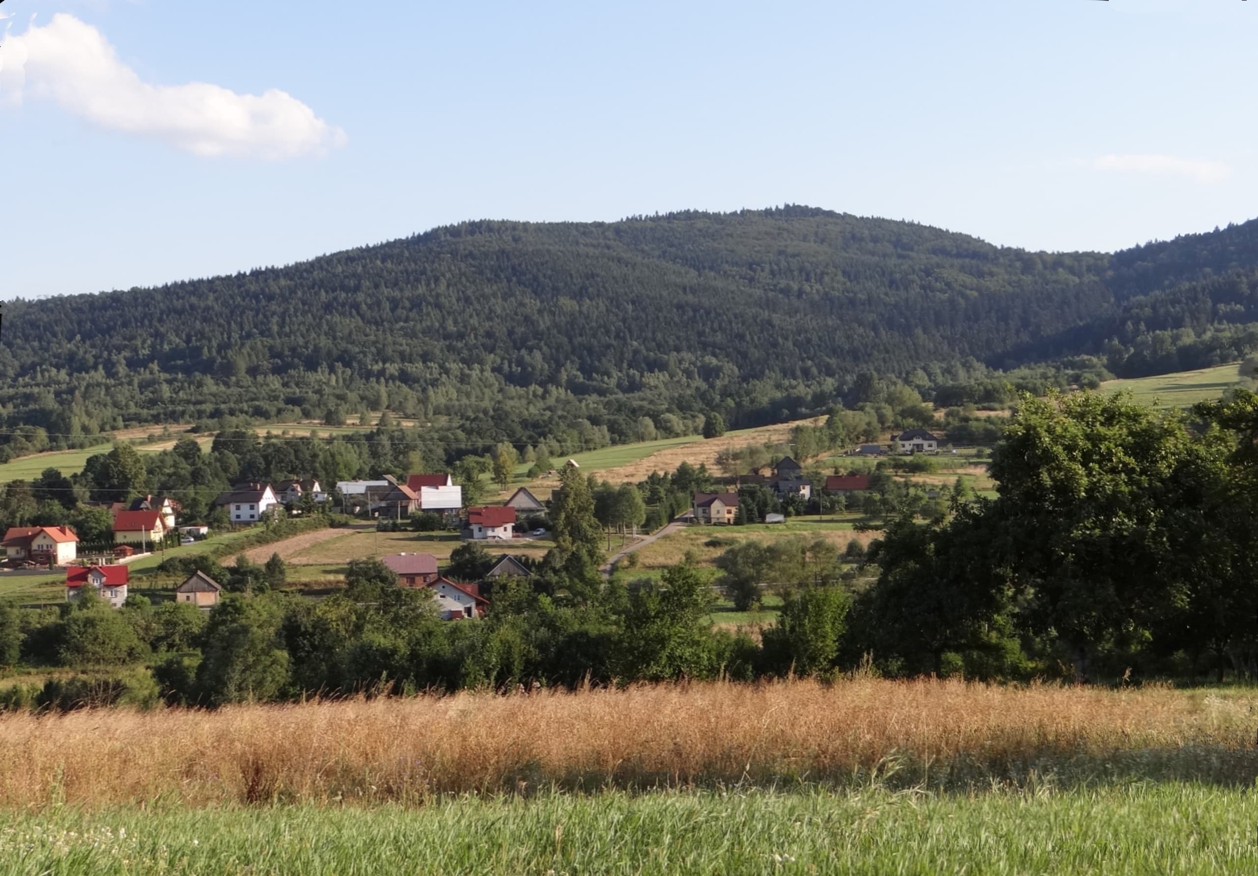 Gołuszkowa Góra