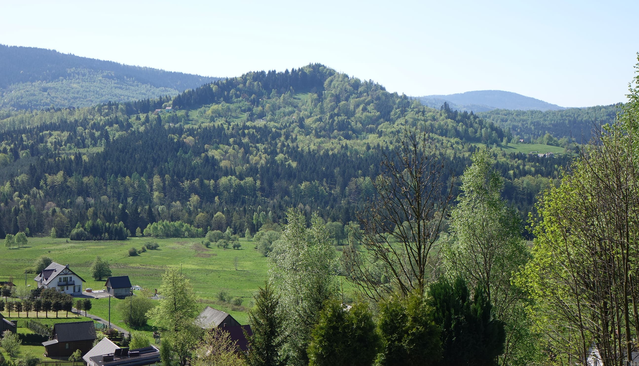 Wytrzyszczon