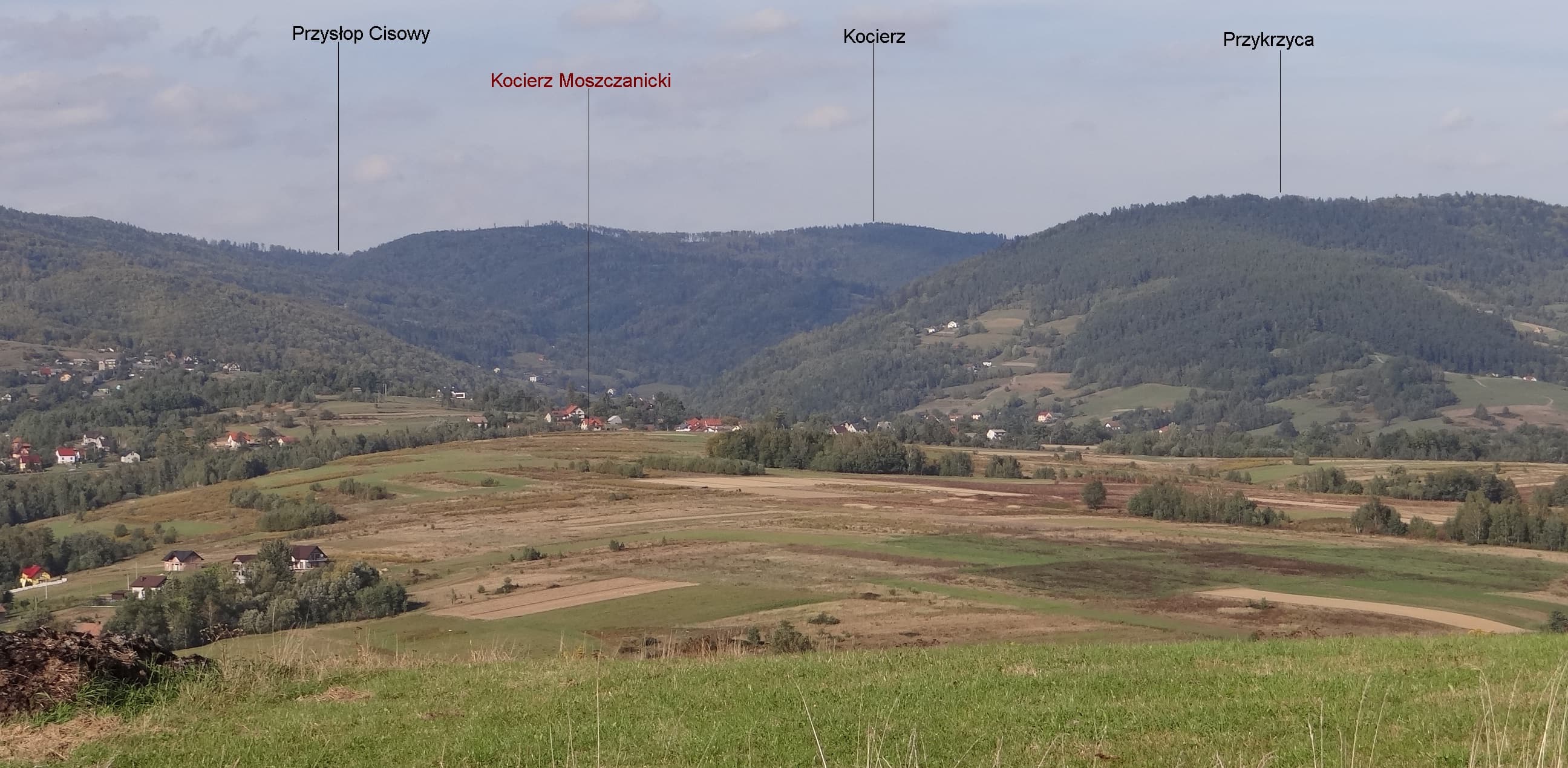 Kocierz