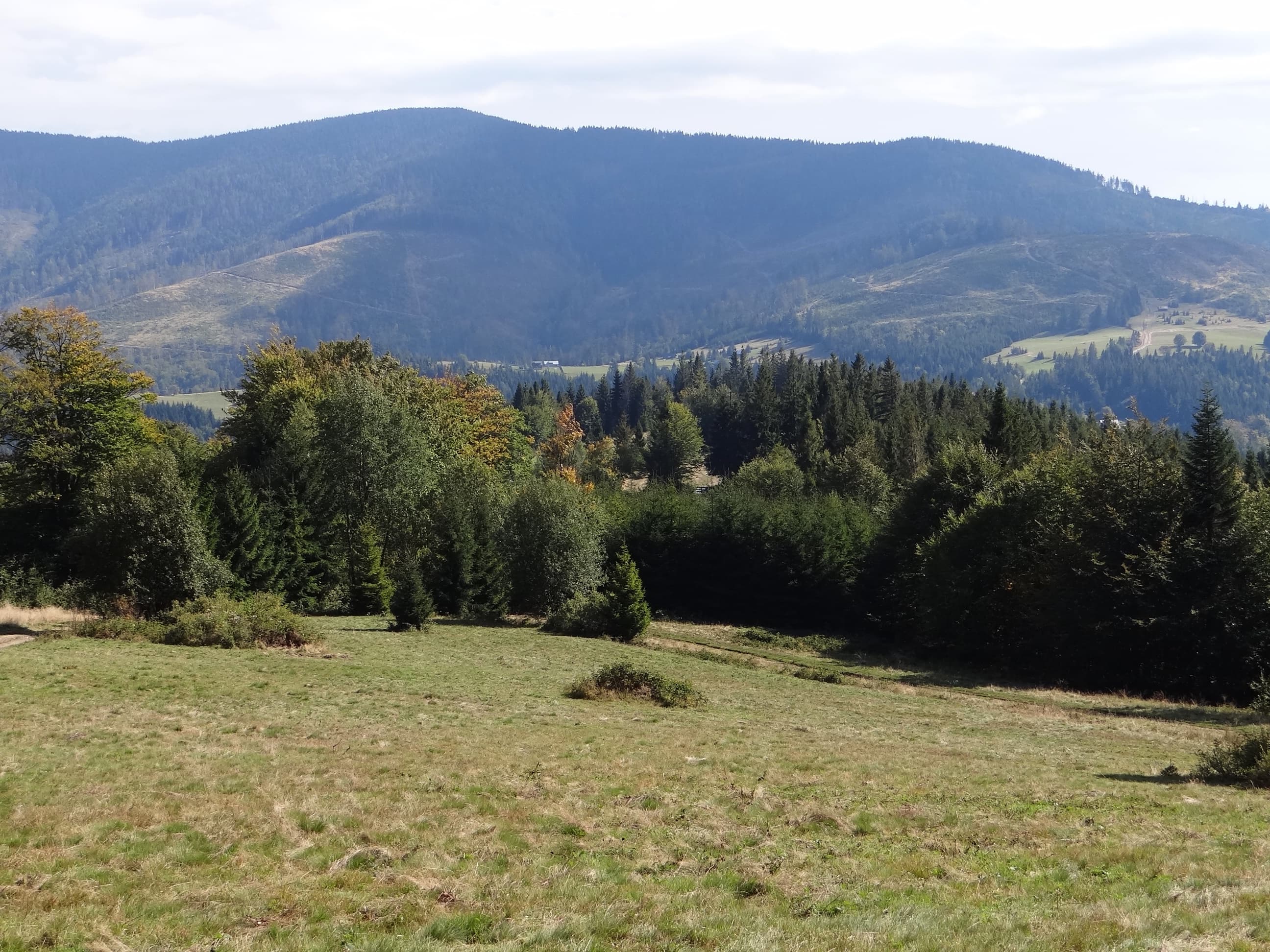Redykalny Wierch