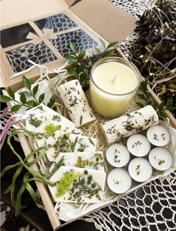 Warsztat: Botaniczny Box Sojowy