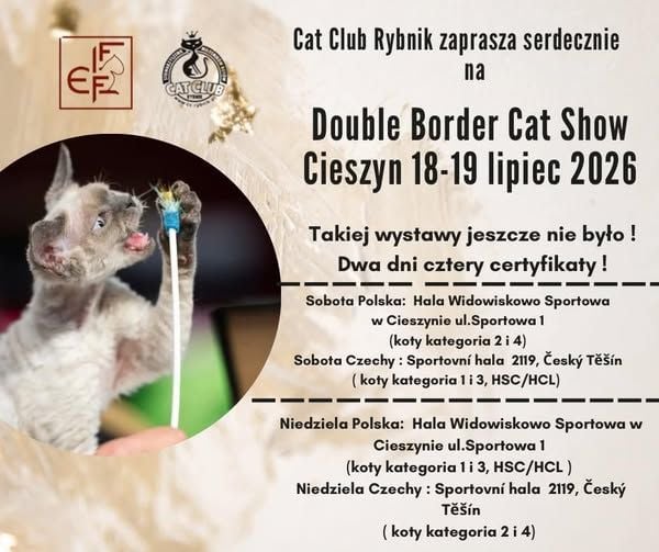 Double Border Cat Show – Międzynarodowa Wystawa Kotów w Cieszynie