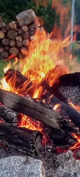 Zielone Świątki i Sobótki w Parku Miejskim