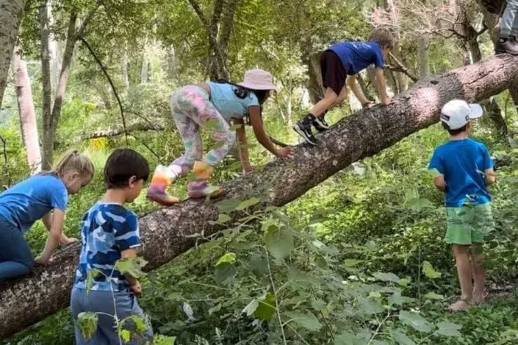Piknik Rodzinny Ziarna Mocy w Cięcinie – zabawa i warsztaty na świeżym powietrzu