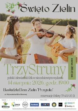 Koncert zespołu Trzy Struny w Beskidzkim Domu Zielin