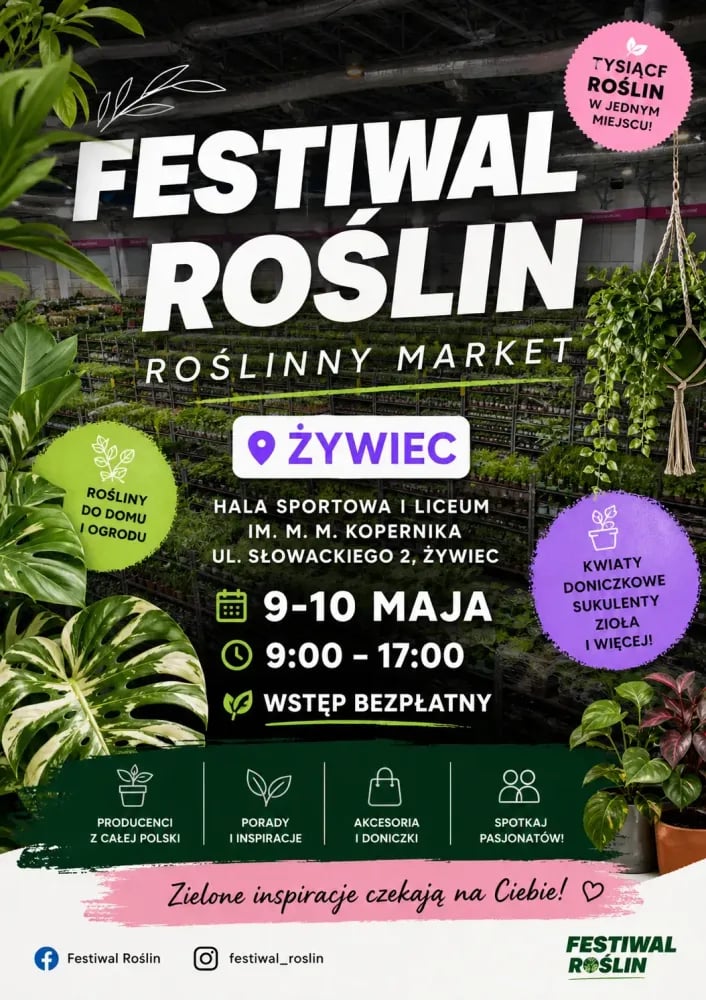 🌿 Festiwal Roślin - Roślinny Market pełen zieleni