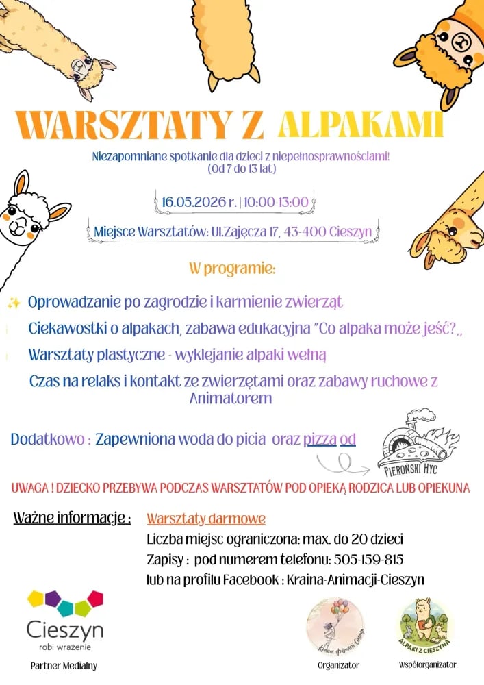 Warsztaty z Alpakami dla dzieci z niepełnosprawnościami