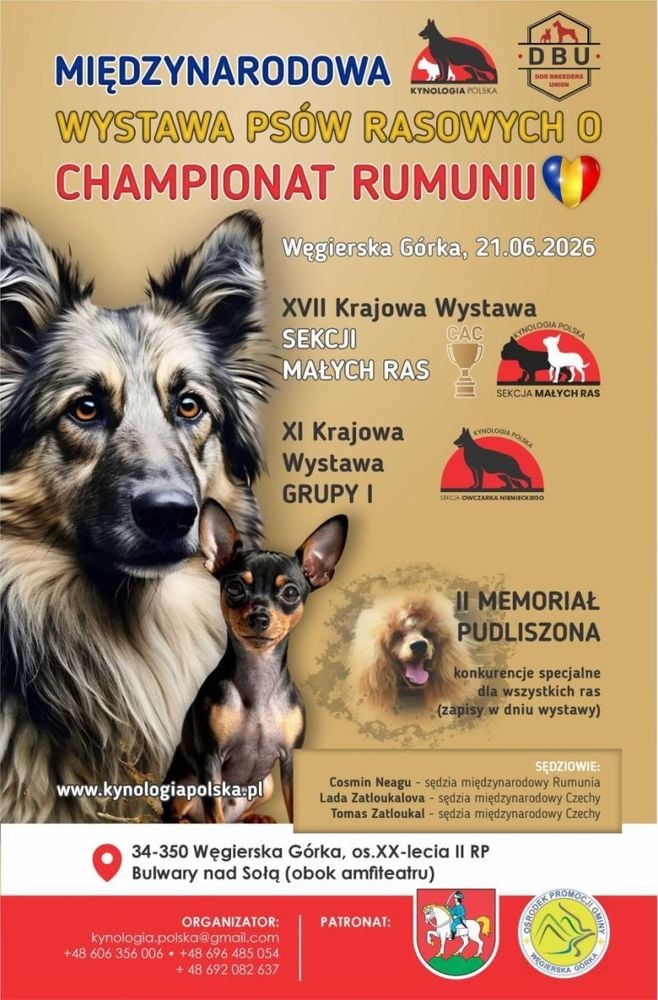 🐕 Międzynarodowa Wystawa Psów Rasowych o Championat Rumunii
