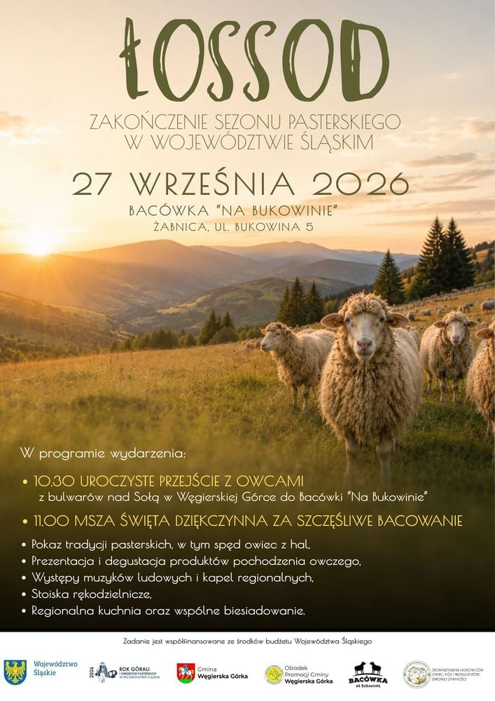 🐑 Łossod – zakończenie sezonu pasterskiego pełne tradycji i smaków