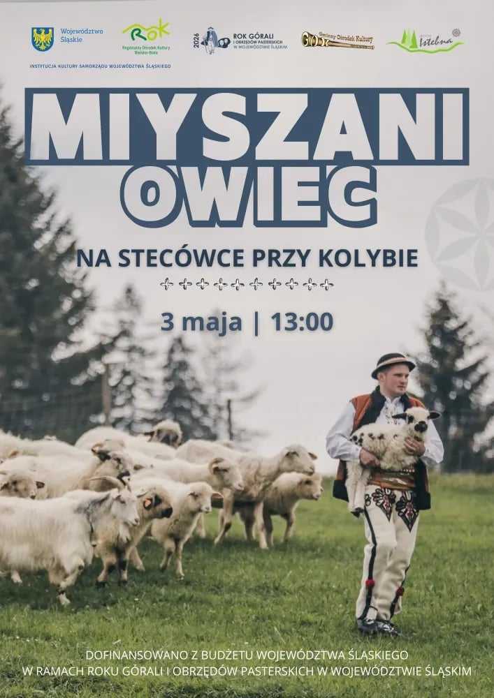 Miyszani Owiec na Stecówce